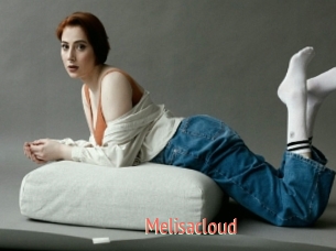 Melisacloud