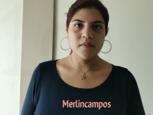 Merlincampos