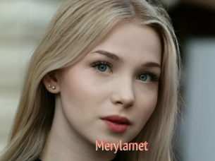 Merylarnet