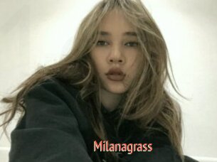 Milanagrass