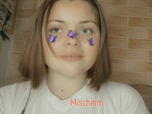 Mischarm