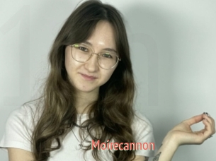 Moirecannon