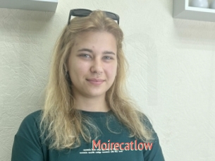Moirecatlow
