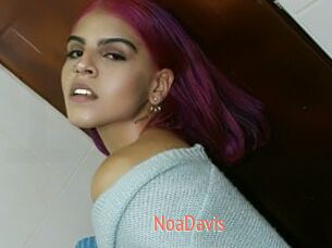 NoaDavis