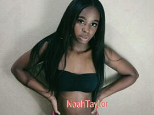 NoahTaylor