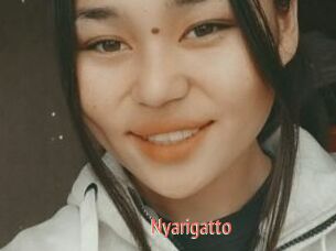 Nyarigatto