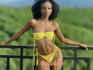 Niagollden