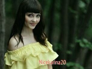 Nicekarina20