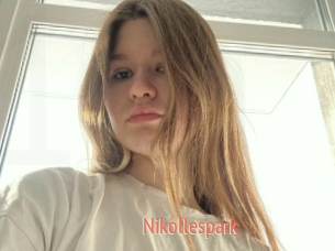 Nikollespark