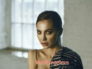 NinaIErogenous