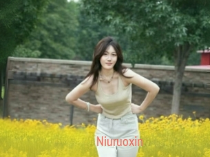 Niuruoxin