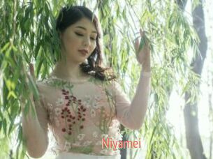 Niyamei