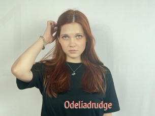Odeliadrudge