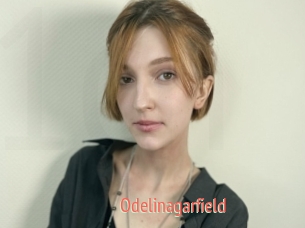 Odelinagarfield