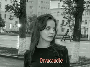 Orvacaudle