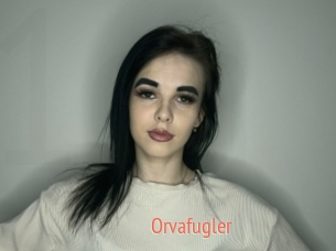 Orvafugler