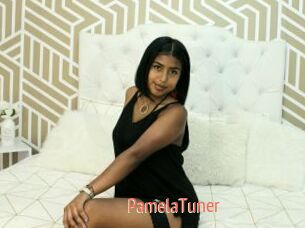 PamelaTuner
