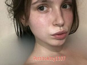 Pettitekitty1107