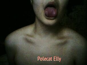 Polecat_Elly