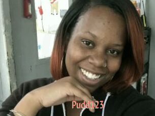 Pudd123
