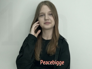 Peacebigge