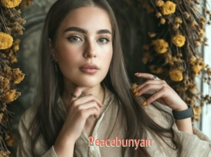 Peacebunyan