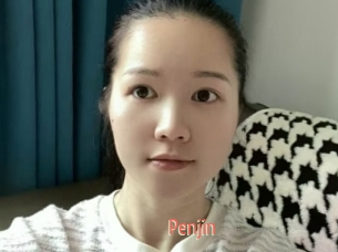 Penjin