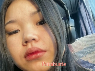 Petrabunte