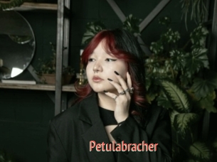 Petulabracher