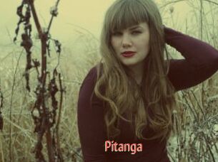 Pitanga