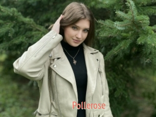 Pollerose