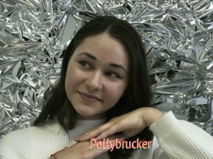Pollybrucker