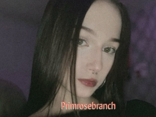 Primrosebranch