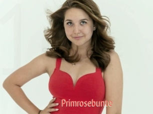 Primrosebunte