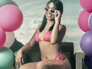 Rileynacci