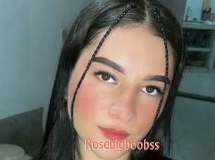 Rosebigboobss