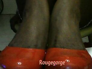 Rougegorge