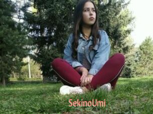 SekinoUmi