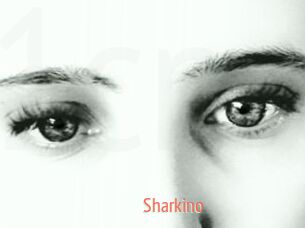Sharkino