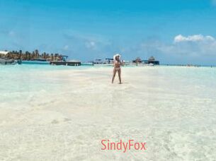 SindyFox