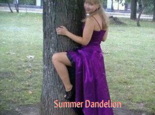 Summer_Dandelion