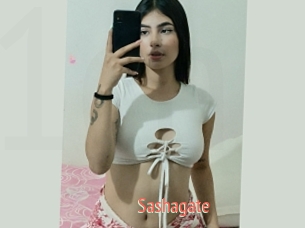 Sashagate