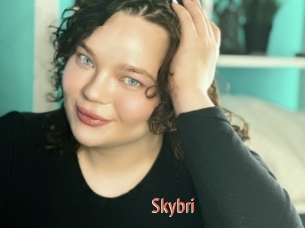 Skybri