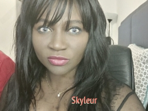 Skyleur