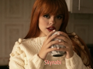 Skynabi