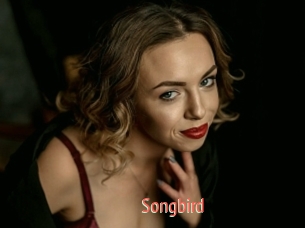 Songbird