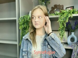 Synnefugler