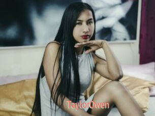 TaylorOwen