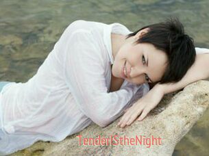 TenderIStheNight