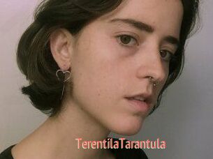 TerentilaTarantula